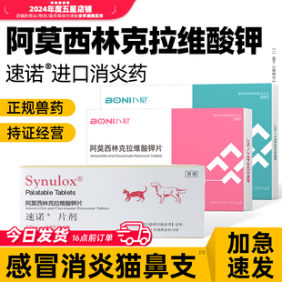 速诺阿莫西林克拉维酸钾片猫狗狗宠物专用消炎药猫咪感冒药猫鼻支