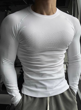 Light Weight专业无缝显大膨胀健身服男透气速干吸湿紧身长袖T恤