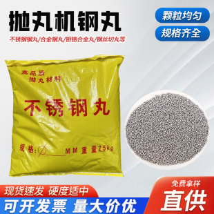 抛丸机喷砂机钢丸304不锈钢丸合金钢丸钢丝切丸不锈钢丸195不锈铁