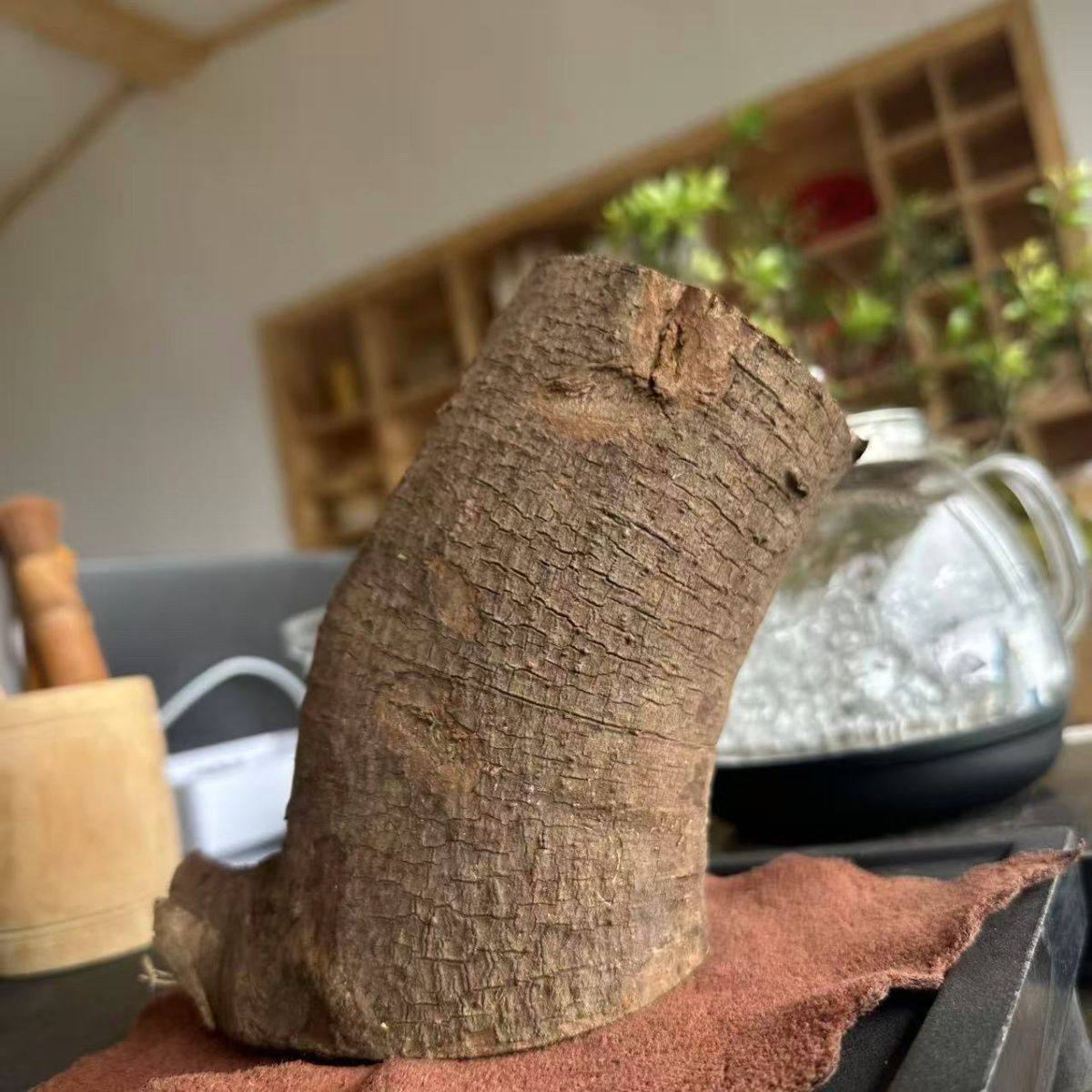 云南木姜子根山胡椒根超大老根天然香薰香料茶室净化空气隔断摆件