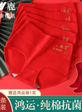 雅鹿纯棉大红色高腰内裤女士抗菌裆新娘结婚本命年鸿运收腹三角裤