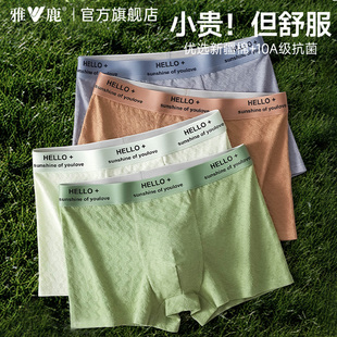 四角裤 男生纯棉抗菌2025新款 平角短裤 头男款 衩PB 雅鹿男士 底裤 内裤