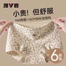 全棉透气无痕女生四角裤 雅鹿平角内裤 女士纯棉10A抗菌裆2025新款