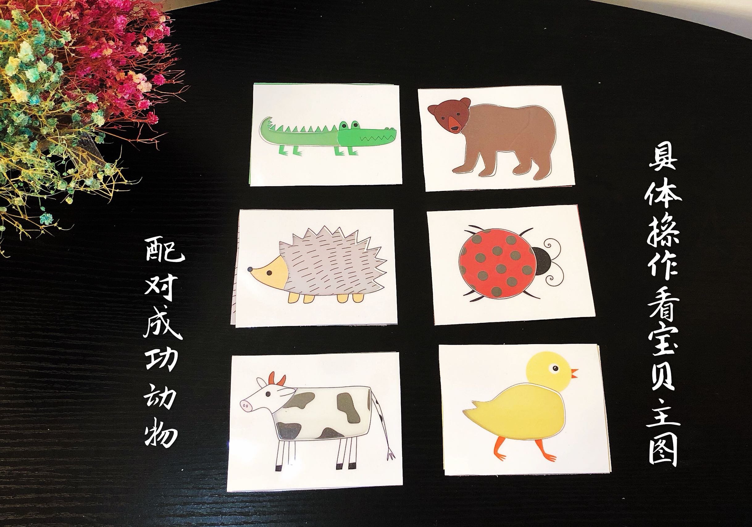 幼儿园及早教找相同皮肤及动物皮毛配对动物世界的神奇发现