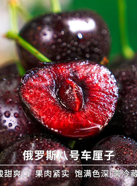 豆尚大连车厘子俄罗斯8号大樱桃艺树家567J大棚大果新鲜水果顺丰