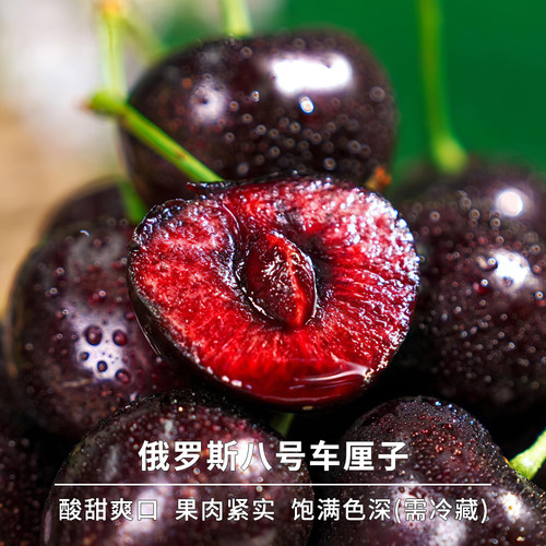 豆尚大连车厘子俄罗斯8号大樱桃艺树家567J大棚大果新鲜水果顺丰
