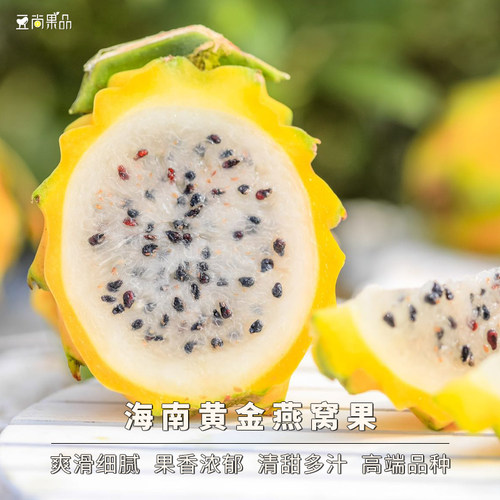 海南黄金燕窝果细腻丝滑整箱