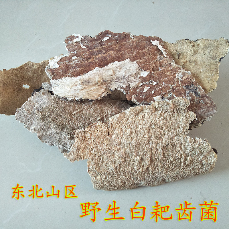 长白山脉野生白耙齿菌 耙齿菌 白耙齿菌 白耙齿菌100克白耙齿
