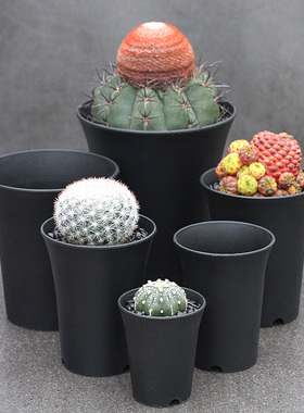 植物员外 万象盆百搭黑色白色圆形方形加厚高筒塑料多肉植物花盆