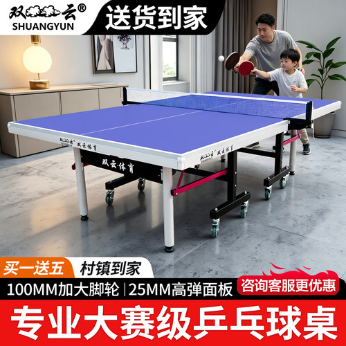 乒乓球台双云专业标准折叠家用
