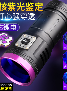 紫光灯鉴定专用验钞烟酒防伪照玉石翡翠伍德氏紫外线395nm手电筒