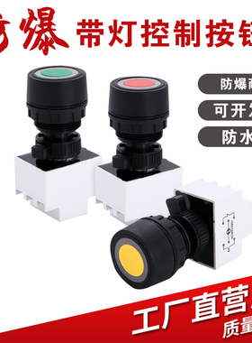 BA8030防爆防腐带灯按钮 防爆自复位带灯按钮 防爆按钮开关30mm