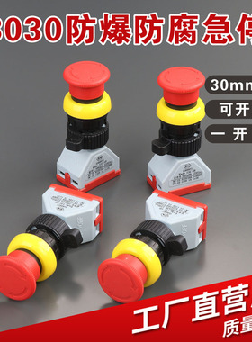 YH8097-2防爆急停按钮ExdeIICT6红色蘑菇头急停自锁控制按钮开关