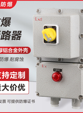 BDZ防爆断路器2P3P4P20A32A漏电防爆开关箱220V380V空开控制箱