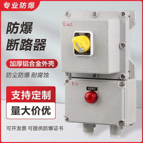 BDZ防爆断路器2P3P4P20A32A漏电防爆开关箱220V380V空开控制箱