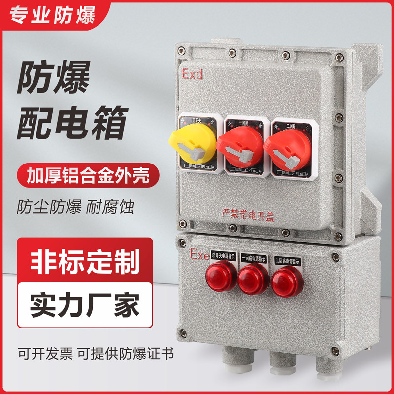 防爆配电箱动力照明开关按钮检修箱接线控制箱定制仪表插座配电柜