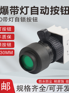 YH8030防爆自锁按钮塑料防腐带指示灯exd开孔30mm控制启停开关ct6