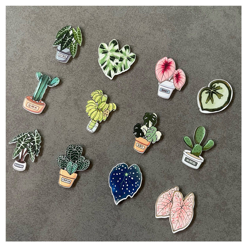 龟背竹仙人掌秋海棠冰箱贴云养植物磁贴绿植送孩子朋友伴手礼