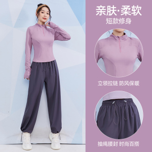 健身服女上衣秋冬季专业跑步宽松运动服长袖普拉提训练瑜伽服套装