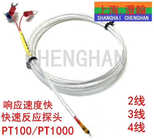 裸露式铂热电阻PT100温度传感器