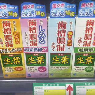 日本新上市小林制药生叶牙膏牙龈出血用蛀牙齿槽浓漏固齿护理100g