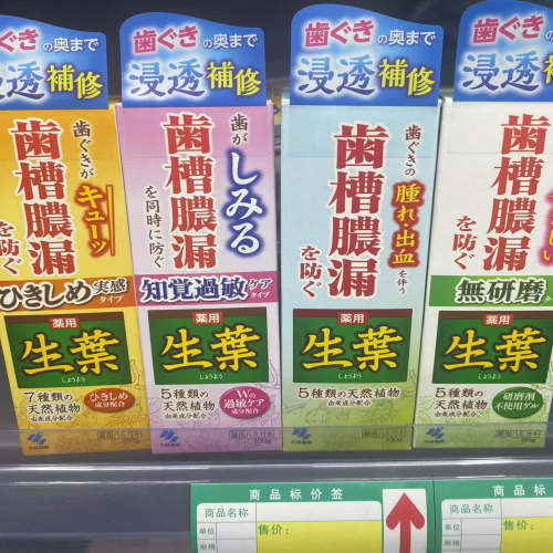 日本小林制药生叶牙膏100g