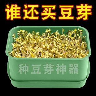 家用发豆芽工具神器大容量发芽盆生绿豆芽方法芽花生芽专用盆种植
