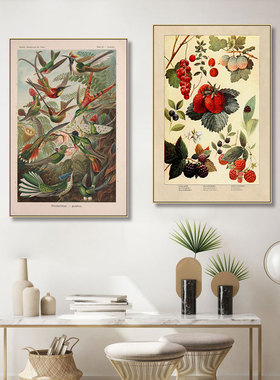 昆虫鸟兽图鉴挂画考古动物蝴蝶菌菇植物鱼科普种类百科恐龙装饰画