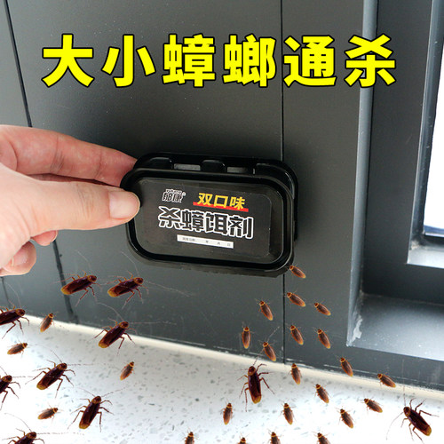 郁康新升级双饵蟑螂屋家用