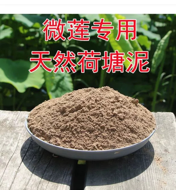 天然荷塘泥碗莲专用土睡莲泥土荷花专用泥微莲铜钱草河泥塘泥花泥 鲜花速递/花卉仿真/绿植园艺 介质/营养土 原图主图