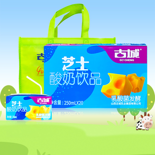 山西古城酸奶芝士酸牛奶饮品整箱20盒乳酸菌发酵厂家促销正品保障