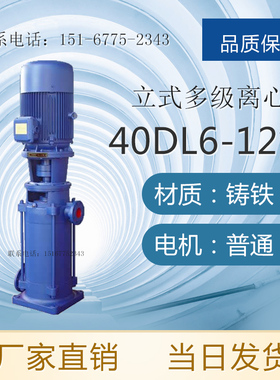 150DL(DLR)150-20 150DL(DLR)165-20 150DL(DLR)200-20大流量泵