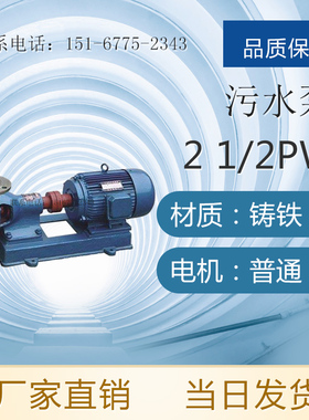 21/2PW卧式泵 4PW排污泵 6PW离心污水泵 8PW离心泵 10PW型污水泵