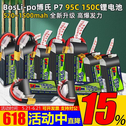 锂电池600/650/850/950博氏正品
