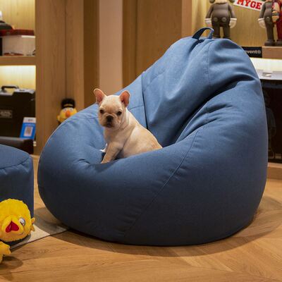 Lazy sofa tatami chair back foam sofa leisure Bean Bag Chair