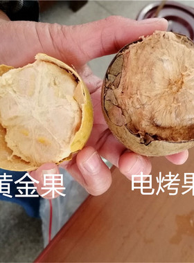 脱水罗汉果包邮干果新果大果新鲜广西桂林特产永福县高山罗汉果茶