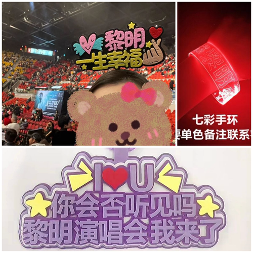 黎明演唱会荧光棒应援发箍发卡发光头箍发夹周边LEON手灯灯牌定制