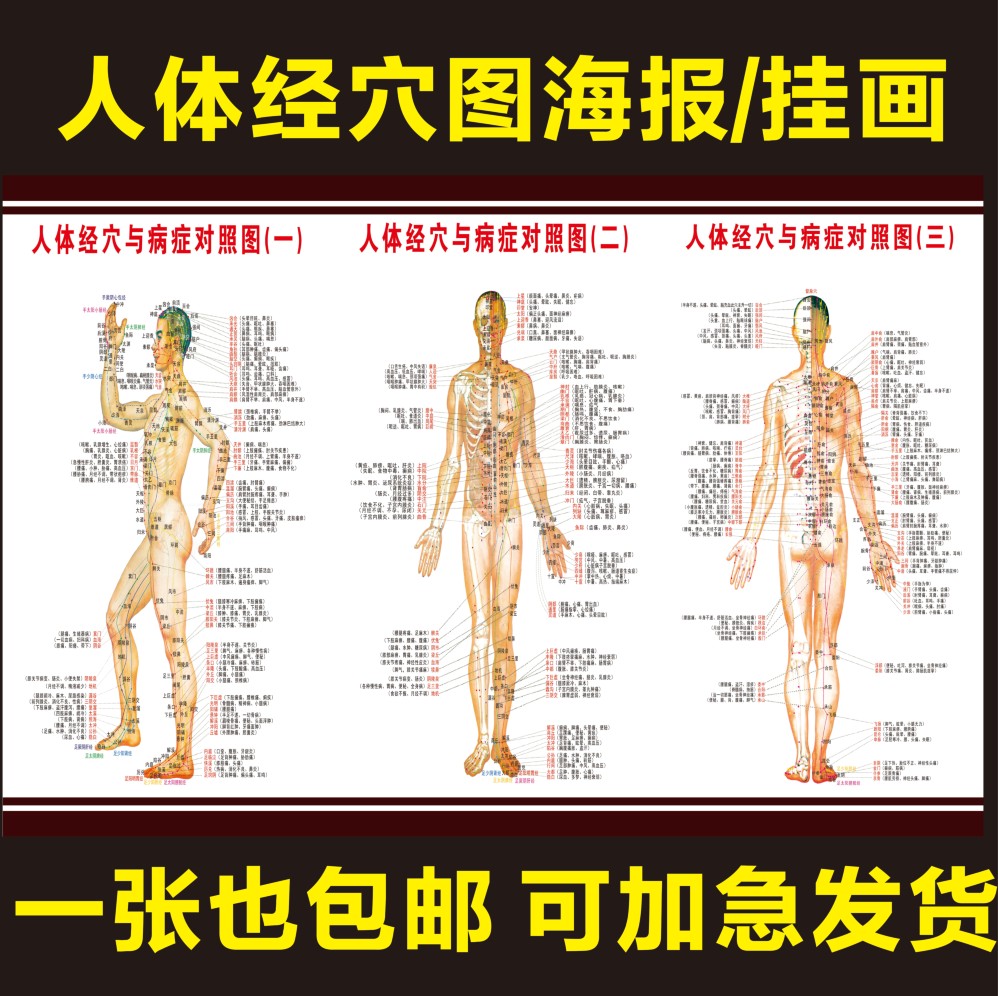 中医养生人体经络穴位图大挂图全身高清穴位推拿按摩针灸家用海报