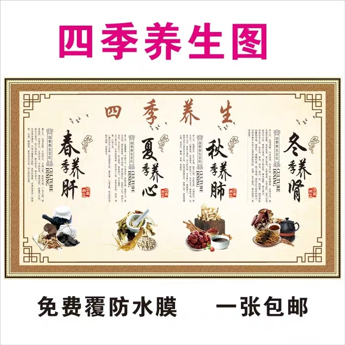 中医养生挂图四季养生春夏秋冬装饰画挂图养身文化宣传画海报墙贴
