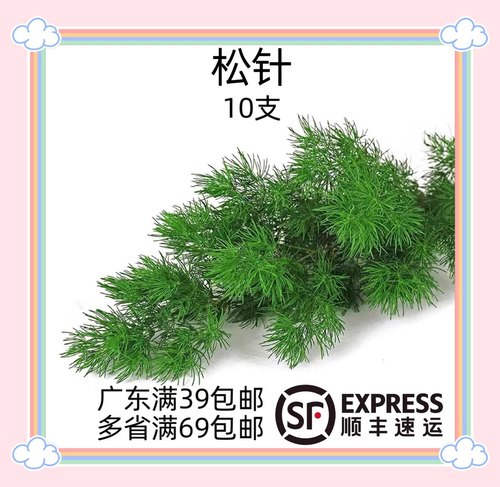 蓬莱松松树针叶酒店餐饮摆盘装饰