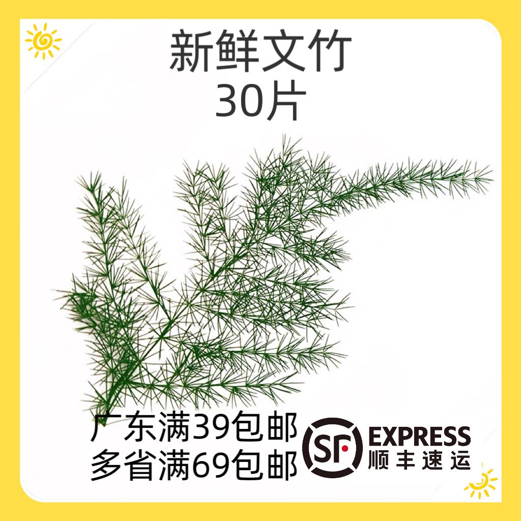 文竹新鲜 云片松 云竹30片 酒店西餐餐饮盘饰花 摆盘点缀