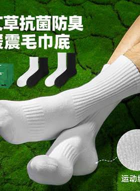 子墨艾草袜子男夏季防臭防脚气男生运动7a抗菌毛巾底纯棉纱线长袜