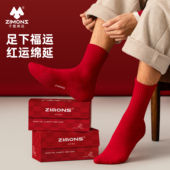 子墨红袜子本命年男女纯棉纱线情侣结婚夏季 红色长袜 马年新年男款