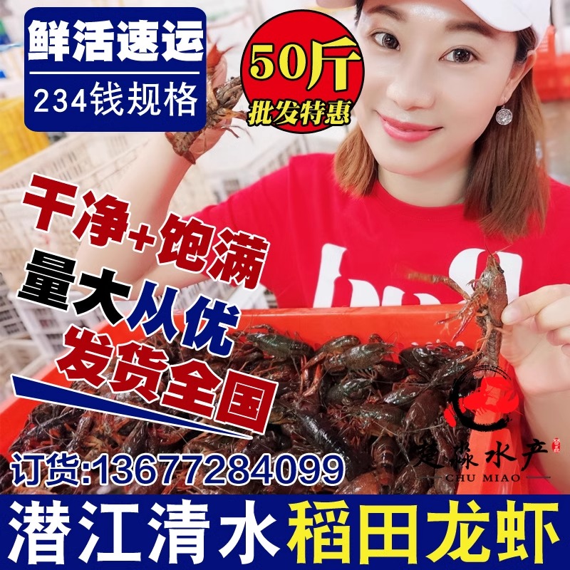 湖北潜江鲜活清水小龙