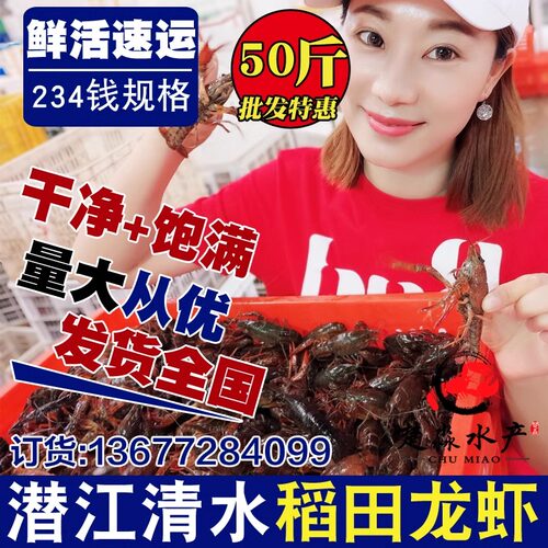 湖北潜江鲜活清水小龙