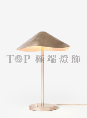 西班牙ANTICA 锥形金属台灯设计创意艺术客厅线性枝形吸顶吊落地
