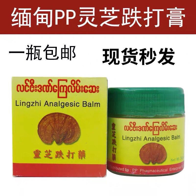 缅甸PP牌灵芝膏跌打膏药原装药油安奋成人活络膏跌打扭伤一瓶包邮