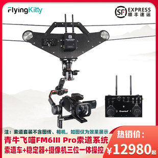 PRO云台稳定器空中单反微单无线遥控控制录制婚礼演出飞猫空拍 RS3 青牛飞喵FM6Ⅲ索道拍摄系统大疆DJI RS2