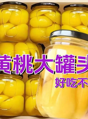 GJR黄桃罐头杨梅桔子枇杷新鲜水果零食官方旗舰店整箱即食烘焙