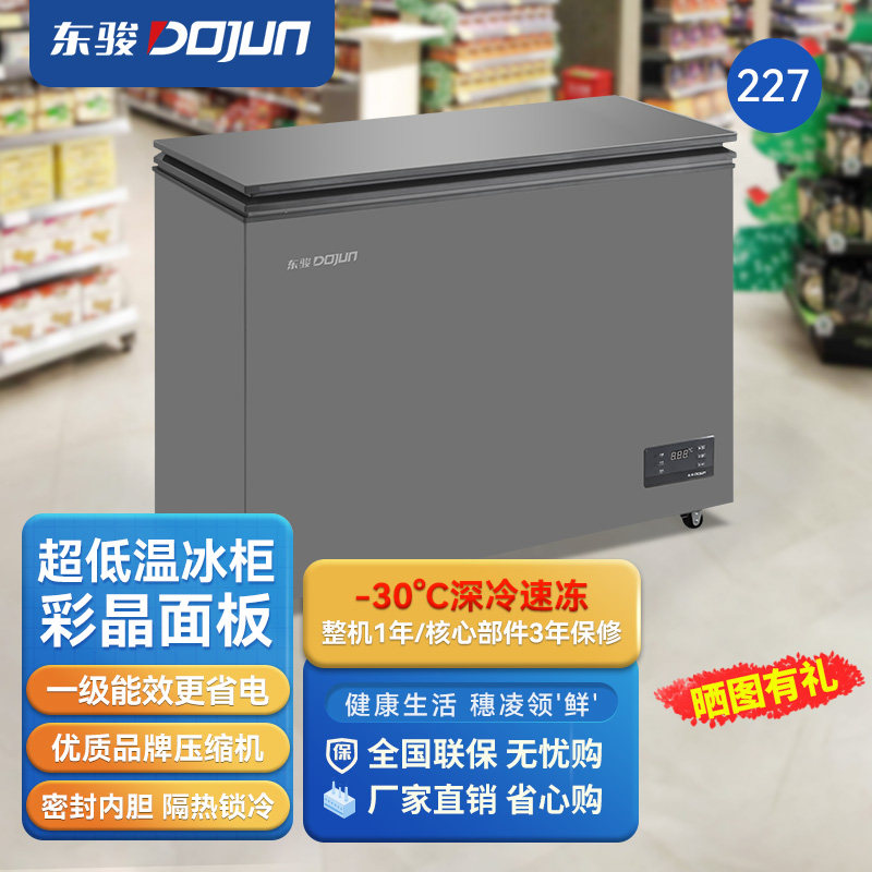 东骏冰柜家用小型100/200/300升卧式冰箱节能保鲜冷冻柜冷藏雪柜